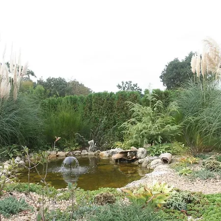 Joya Park * Goldstrand